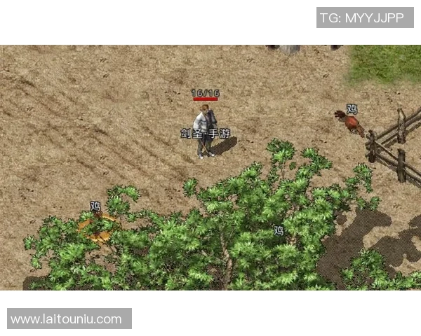 十号与十冠王的巅峰对决谁将书写新的传奇篇章 十号与十冠王的巅峰对决谁将书写新的传奇篇章