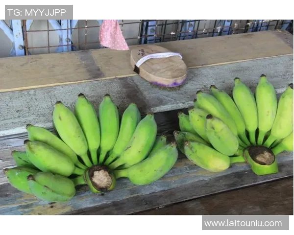 马来西亚与斯里兰卡激战正酣谁能在友谊赛中笑到最后