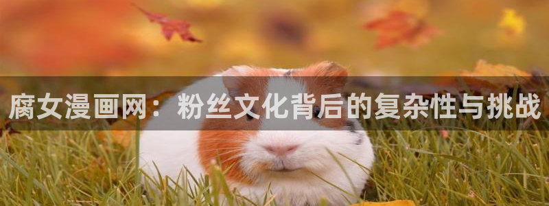 香蕉漫画书阅读下拉式2025：腐女漫画网：粉丝文化背后的复杂性与挑战